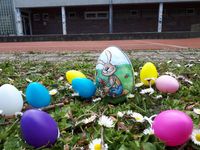 Eier vor Schule